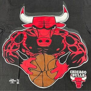 Vintage 1996 Chicago Bulls Changes Graphic Tee Jordan XL ?